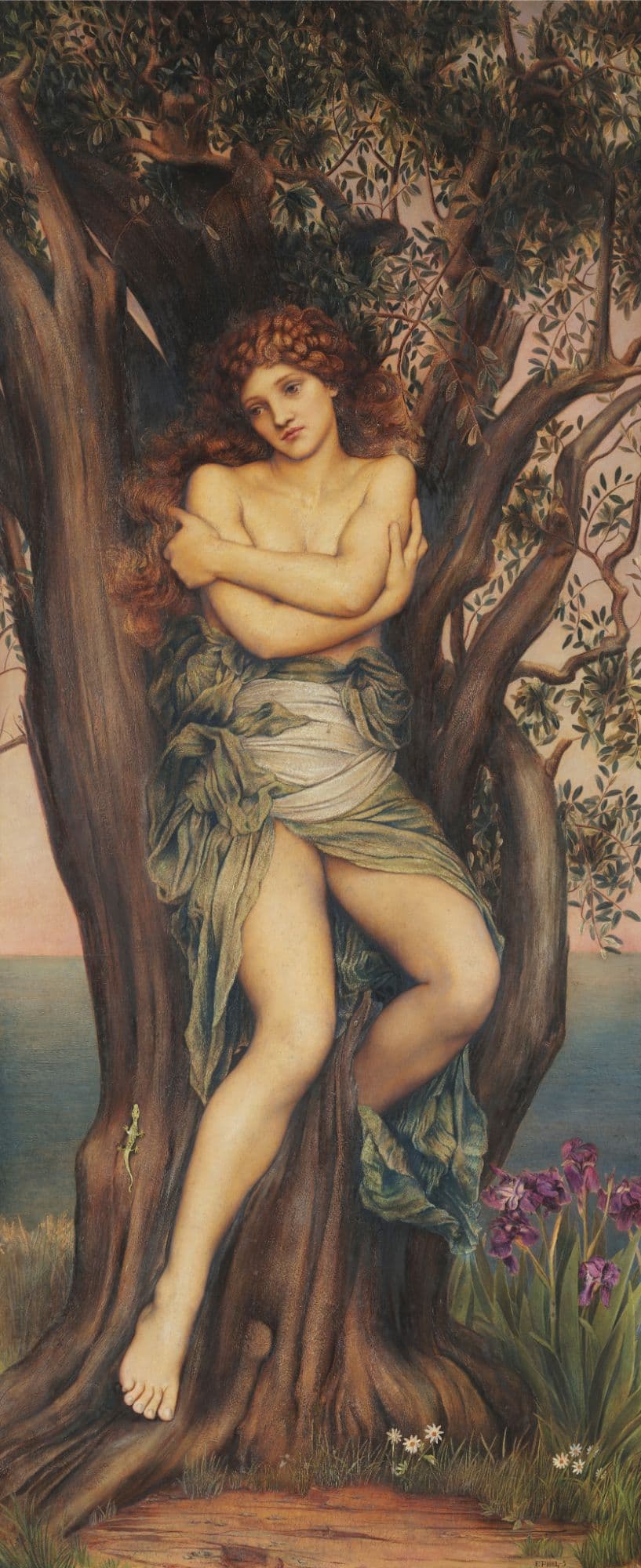 Orman Perisi, Evelyn De Morgan, İris, Jane Hales.
